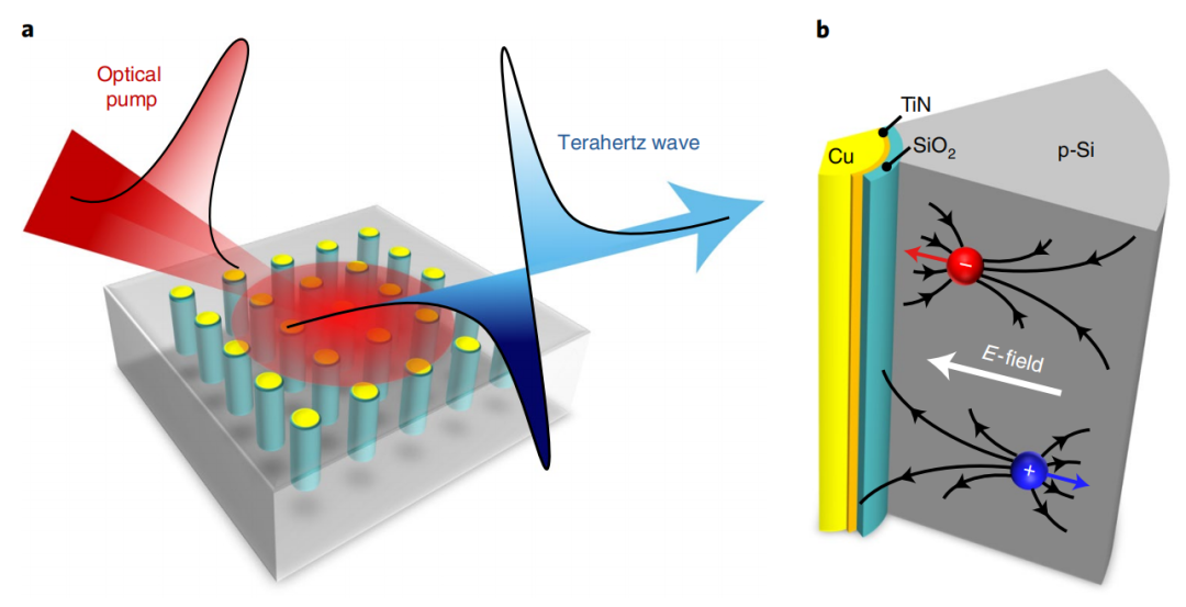 640 - 2022-03-10T163433.851.png