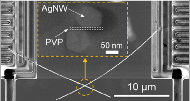 640 - 2022-03-10T164606.154.png 640 - 2022-03-10T164606.154.png